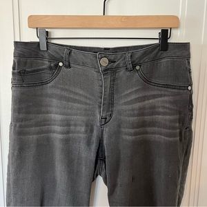 1822 Denim Skinny Stretch Jean in Medium Grey Women’s 14